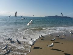 -海云台海滩