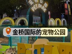 -星巴克臻选(金桥国际店)