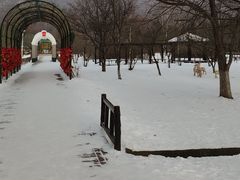 -横道河子东北虎林园