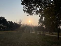 -洨河生态公园