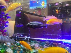 -新辉港式茶餐厅(北栅店)