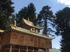 -达仓郎木寺院