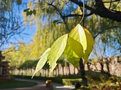 -北京邮电会议中心