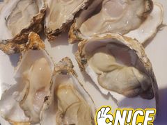 深海黄金蚝-千岛蚝高压锅生蚝·人参火锅(白云万达店)