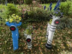 -上海共青森林公园