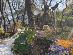 -青岛海滨风景区小鱼山