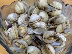 -小叶大馅饺子城