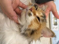 -美迦爱-牙专科·兔科·骨科诊疗中心(北苑店)