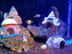 -海合安武汉极地海洋公园