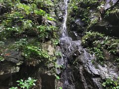 -藏龙百瀑风景区