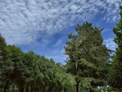 -龙熙温泉高尔夫俱乐部