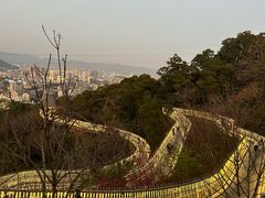 -福道