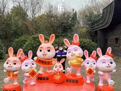 -溱湖国家湿地公园