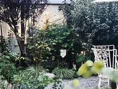-Jo's Garden