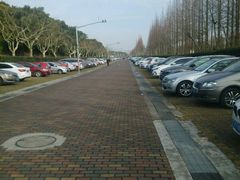 -东方绿舟宾馆·停车场