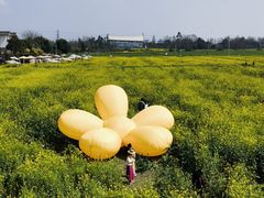 -桤木河湿地公园