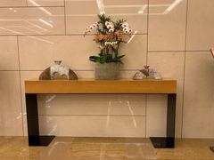 -国家会议中心大酒店