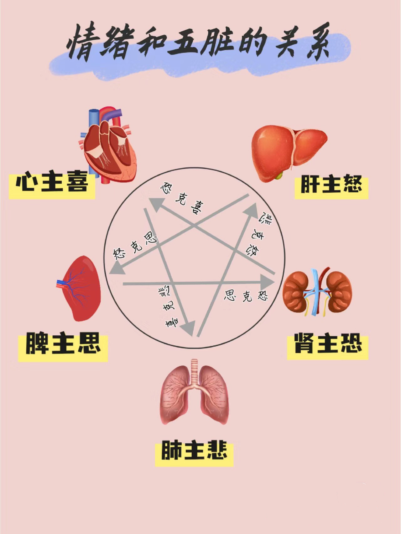 喜,怒,思,悲,恐,与五脏的关系�️❓