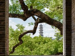 -江心屿景区