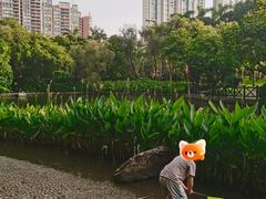 -广州珠江公园