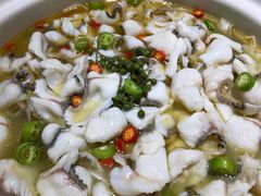 -青花椒花椒鱼(合生汇店)