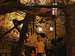 -小洲村