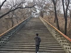 -沈阳市东陵公园