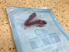 -伟伟宠物医院·瑞派猫友好医院·猫科(光谷店)