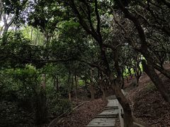 -水濂山森林公园