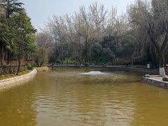 -西安市长乐公园