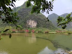 -靖西鹅泉风景区