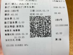 -CGV影城(梅江ScreenX店)