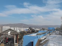 -青藏高原野生动物园