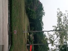 -玉树公园