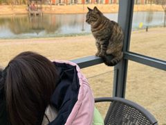 -上海怡沁园度假酒店