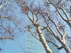 -静安公园(静安寺街道)