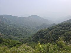 -大岭沟猕猴桃谷风景区