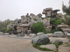 -石家庄市植物园