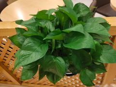 -德克士(宽甸店)