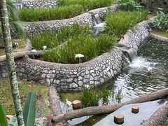 -新加坡飞禽公园
