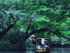 -西湖外事游船(花港观鱼码头)