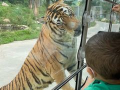 -西安秦岭野生动物园