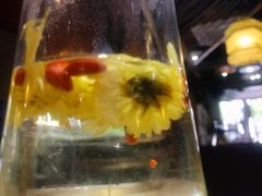 -探窝·竹笙椰子鸡(杨箕店)