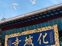 -九华山风景区