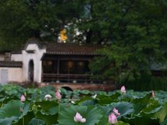 -呈坎景区