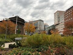 -宾夕法尼亚大学沃顿商学院