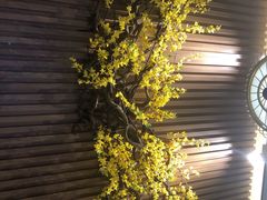 -龙泉人椰子鸡·糟粕醋·地标海南菜(龙昆南店)