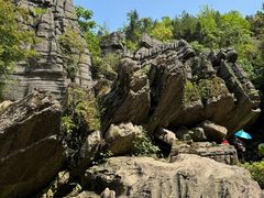 -梭布垭石林景区