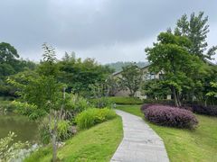 -池州市平天湖风景区