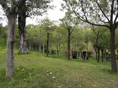 -牛岗山公园